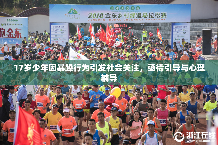 17岁少年因暴躁行为引发社会关注，亟待引导与心理辅导