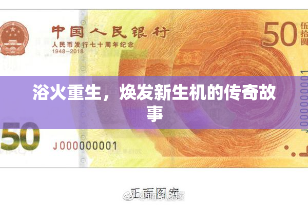 浴火重生，焕发新生机的传奇故事