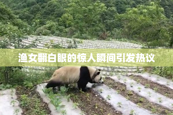 渔女翻白眼的惊人瞬间引发热议