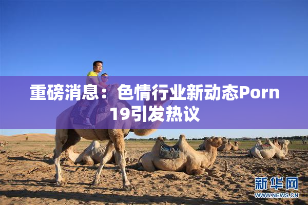 重磅消息：色情行业新动态Porn19引发热议