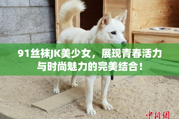 91丝袜JK美少女，展现青春活力与时尚魅力的完美结合！