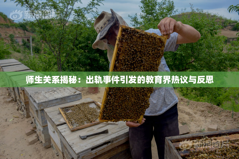 师生关系揭秘：出轨事件引发的教育界热议与反思