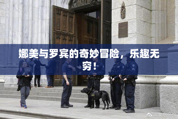 娜美与罗宾的奇妙冒险，乐趣无穷！