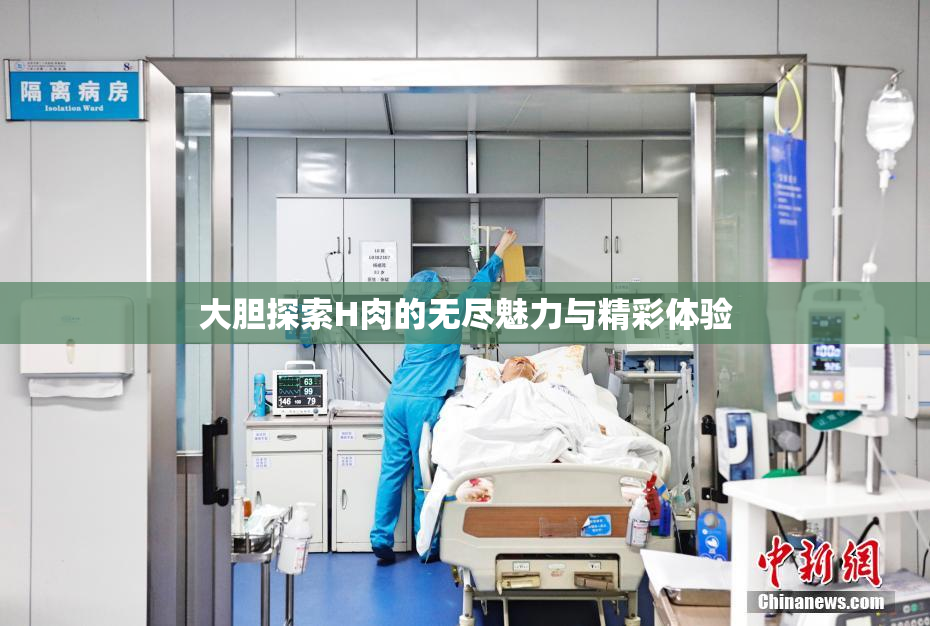 大胆探索H肉的无尽魅力与精彩体验