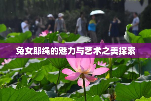 兔女郎绳的魅力与艺术之美探索