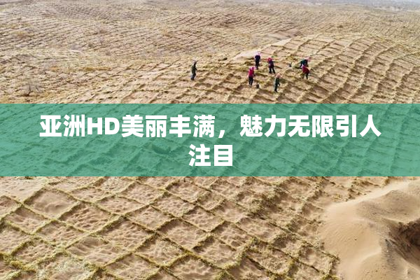 亚洲HD美丽丰满，魅力无限引人注目