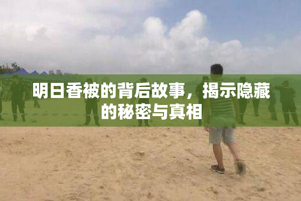 明日香被的背后故事，揭示隐藏的秘密与真相