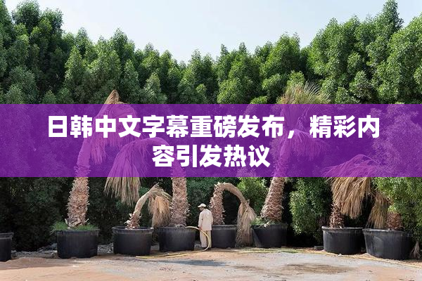 日韩中文字幕重磅发布，精彩内容引发热议