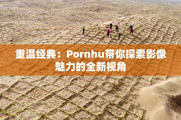 重温经典：Pornhu带你探索影像魅力的全新视角