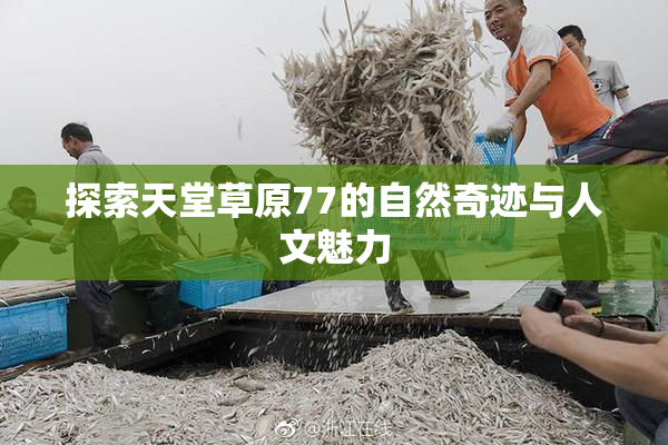 探索天堂草原77的自然奇迹与人文魅力