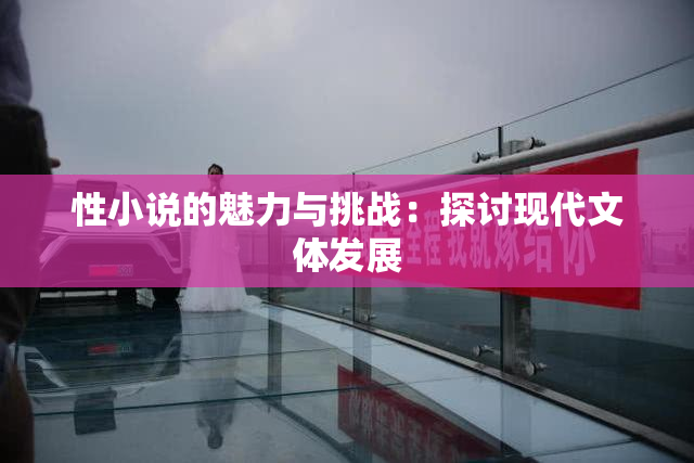 性小说的魅力与挑战：探讨现代文体发展