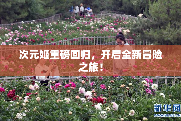 次元姬重磅回归，开启全新冒险之旅！