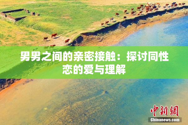 男男之间的亲密接触：探讨同性恋的爱与理解