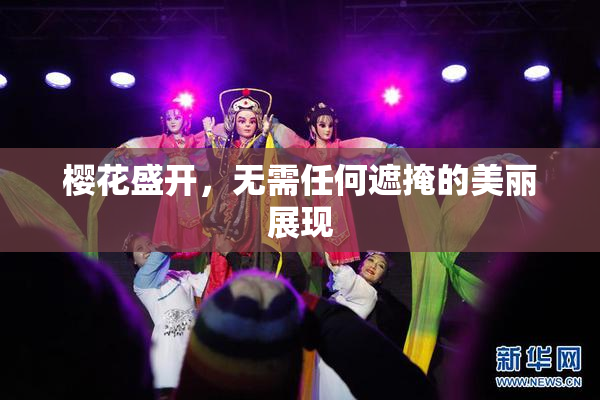 樱花盛开，无需任何遮掩的美丽展现