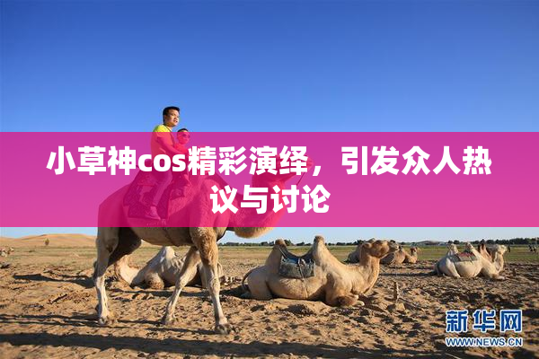 小草神cos精彩演绎，引发众人热议与讨论