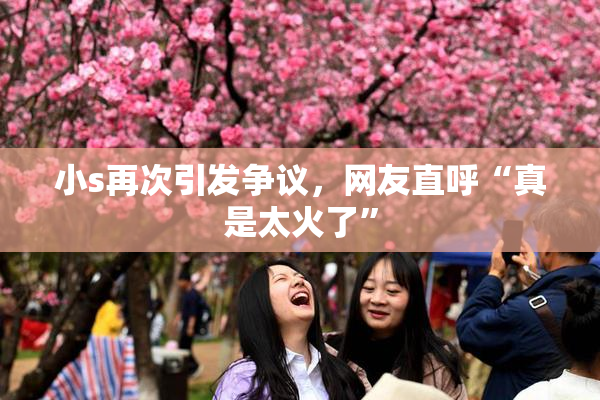 小s再次引发争议，网友直呼“真是太火了”