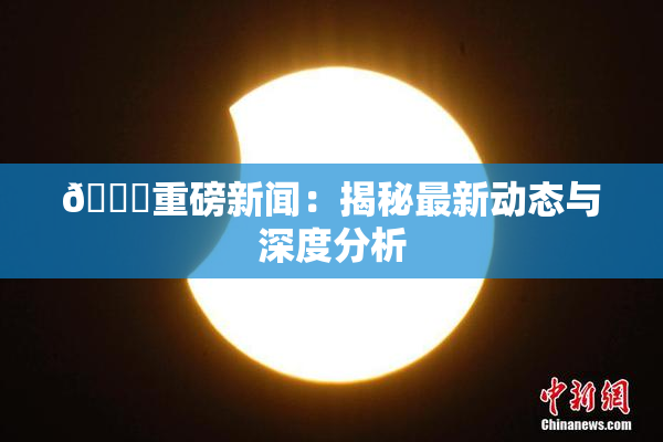 🈚重磅新闻：揭秘最新动态与深度分析
