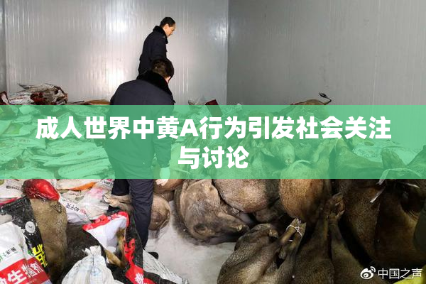 成人世界中黄A行为引发社会关注与讨论