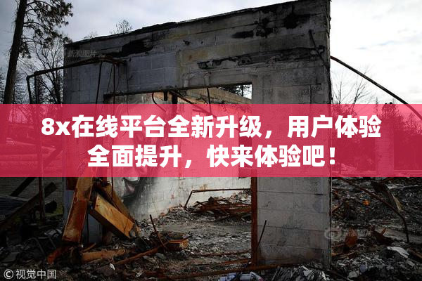 8x在线平台全新升级，用户体验全面提升，快来体验吧！
