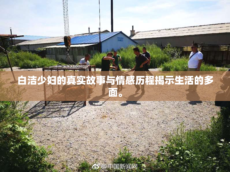 白洁少妇的真实故事与情感历程揭示生活的多面。
