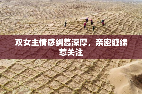 双女主情感纠葛深厚，亲密缠绵惹关注