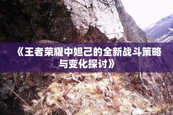 《王者荣耀中妲己的全新战斗策略与变化探讨》