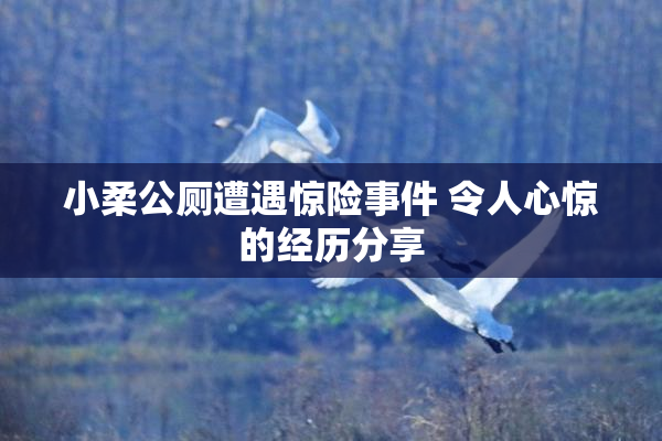 小柔公厕遭遇惊险事件 令人心惊的经历分享