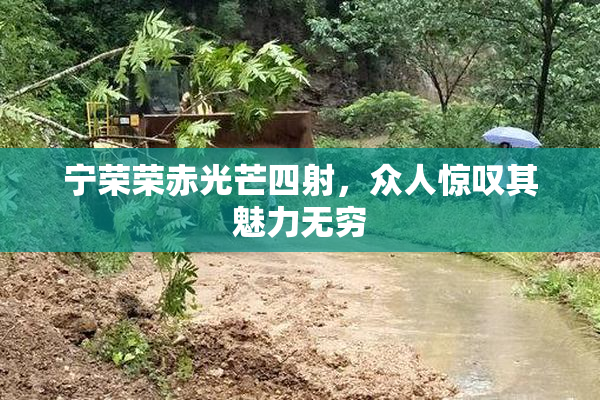 宁荣荣赤光芒四射，众人惊叹其魅力无穷