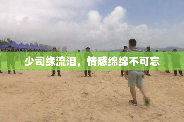 少司缘流泪，情感绵绵不可忘