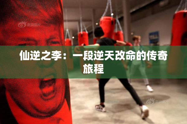 仙逆之李：一段逆天改命的传奇旅程
