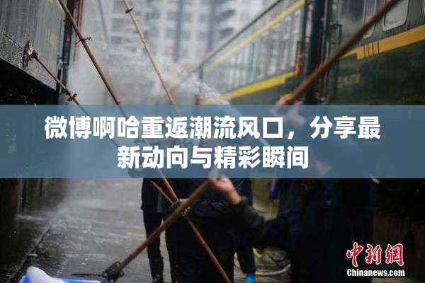微博啊哈重返潮流风口，分享最新动向与精彩瞬间