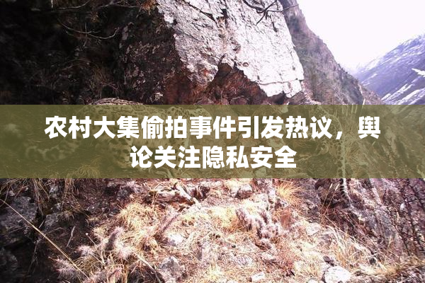农村大集偷拍事件引发热议，舆论关注隐私安全