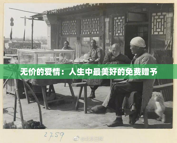 无价的爱情：人生中最美好的免费赠予