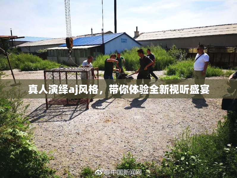 真人演绎aj风格，带你体验全新视听盛宴