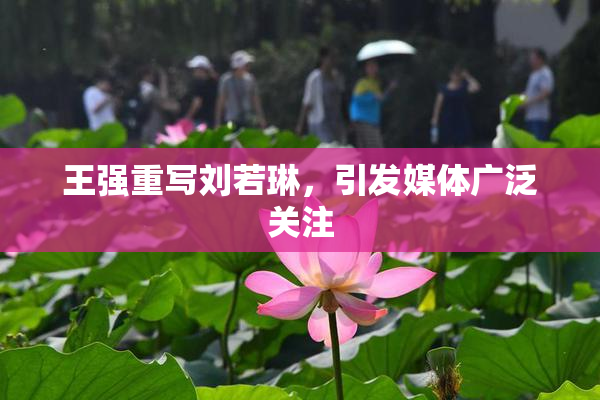 王强重写刘若琳，引发媒体广泛关注