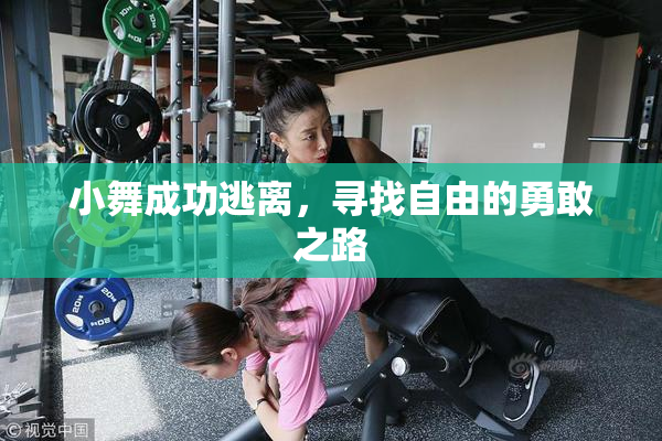 小舞成功逃离，寻找自由的勇敢之路