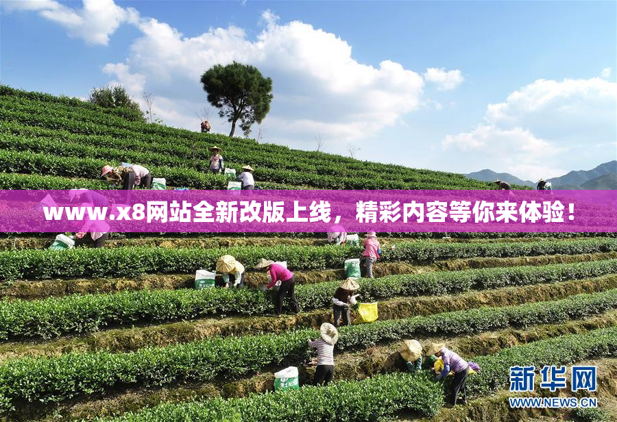 www.x8网站全新改版上线，精彩内容等你来体验！