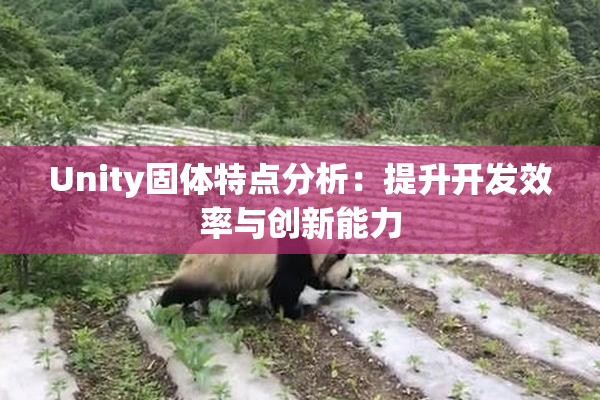 Unity固体特点分析：提升开发效率与创新能力