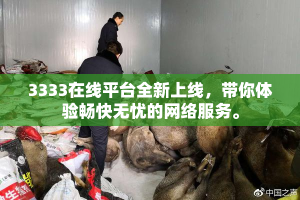 3333在线平台全新上线，带你体验畅快无忧的网络服务。