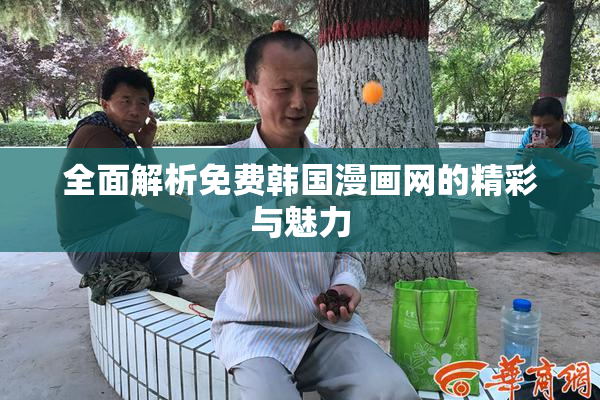 全面解析免费韩国漫画网的精彩与魅力