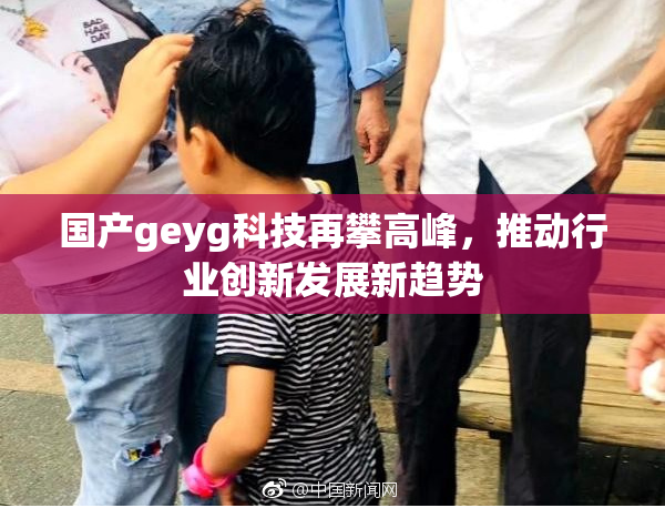 国产geyg科技再攀高峰，推动行业创新发展新趋势