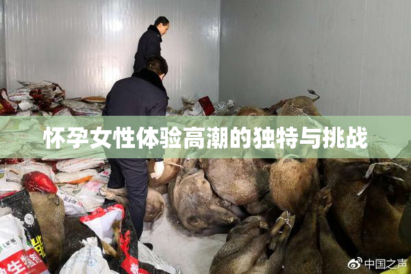 怀孕女性体验高潮的独特与挑战