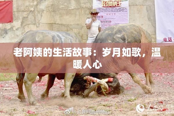 老阿姨的生活故事：岁月如歌，温暖人心