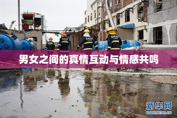男女之间的真情互动与情感共鸣
