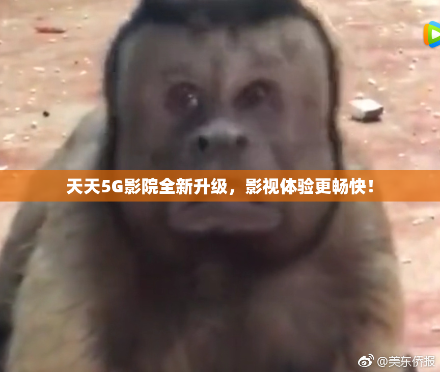 天天5G影院全新升级，影视体验更畅快！