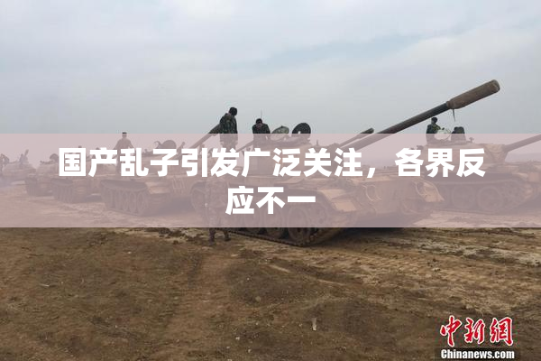 国产乱子引发广泛关注，各界反应不一