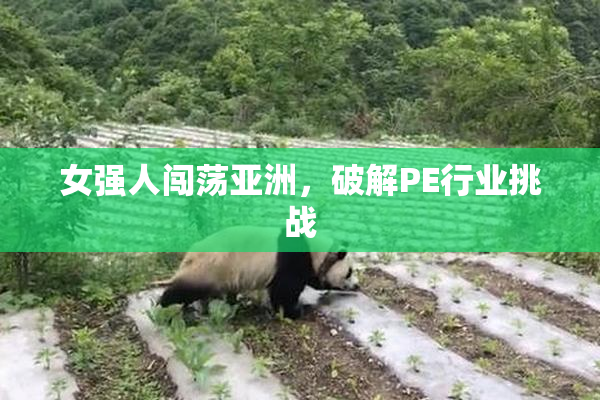 女强人闯荡亚洲，破解PE行业挑战