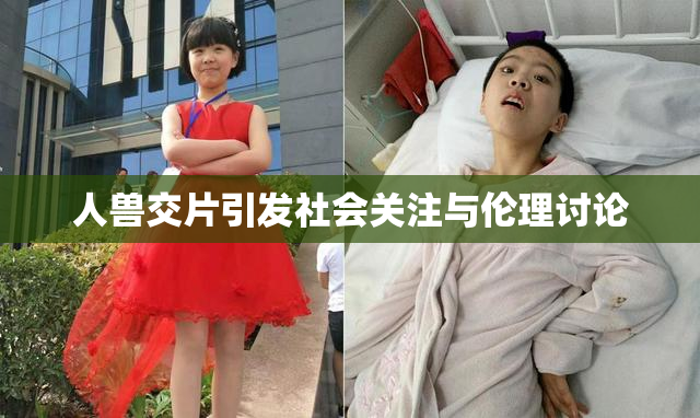 人兽交片引发社会关注与伦理讨论