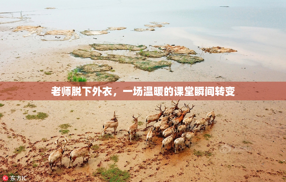 老师脱下外衣，一场温暖的课堂瞬间转变