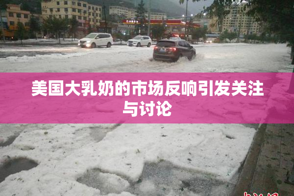 美国大乳奶的市场反响引发关注与讨论